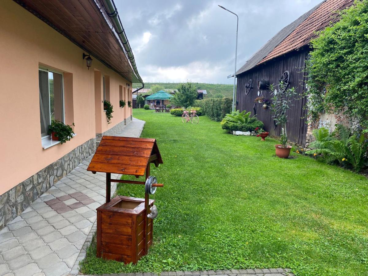 Pensiunea Denis Cîrţişoara Exterior foto