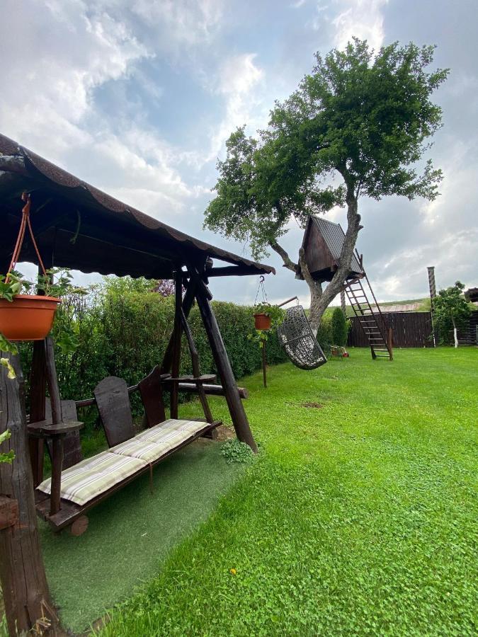 Pensiunea Denis Cîrţişoara Exterior foto
